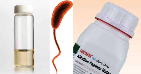 Akaline Peptone Water